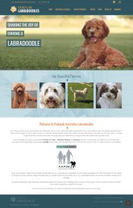 Krakajak Labradoodles