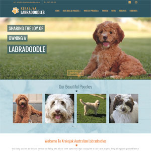 Krakajak Labradoodles