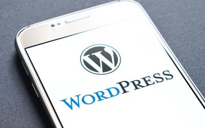 Why we use WordPress, and what should you be concerned of with Wix, Weebly, Squarespace, Vistaprint etc.?